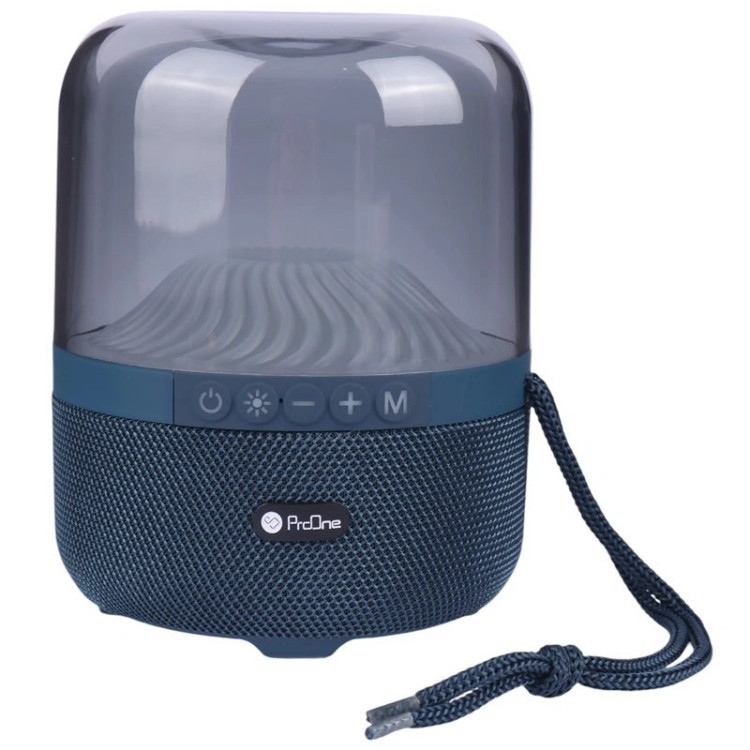 اسپیکر قابل همراه