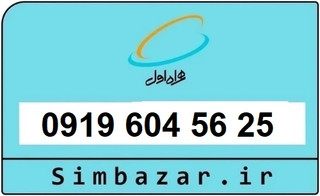0919 ارزان
